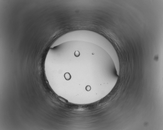 X0000116630312201001081258