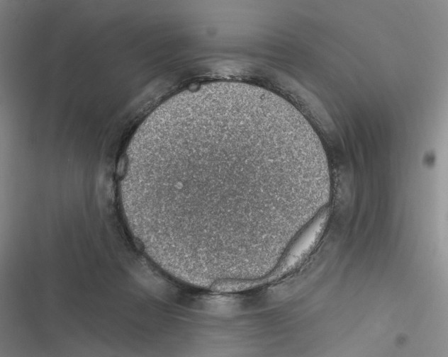 X0000116630313201001081258