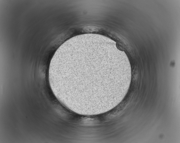 X0000116630315201001081258