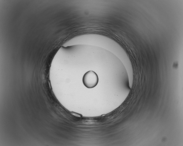 X0000116630316201001081258