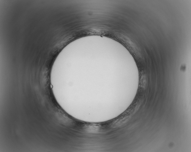 X0000116630318201001081258
