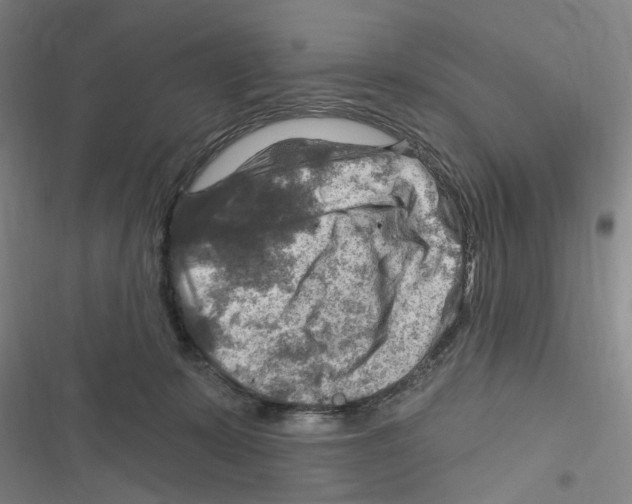 X0000116630319201001081258