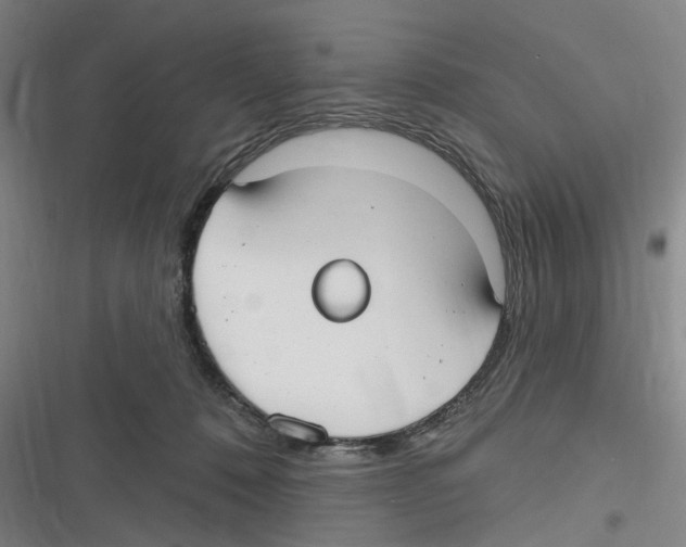 X0000116630320201001081258