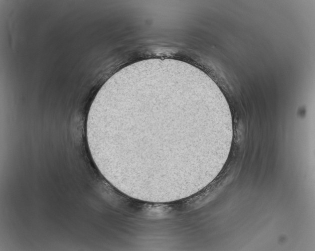 X0000116630321201001081258