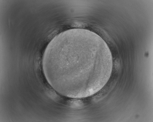 X0000116630322201001081258
