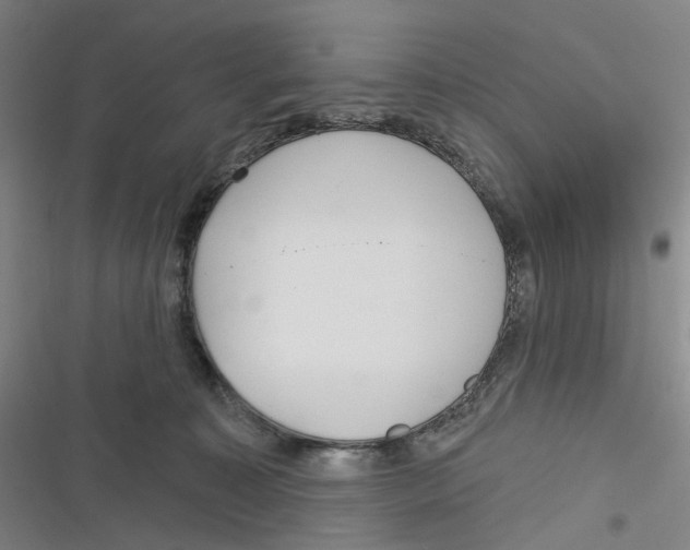 X0000116630323201001081258