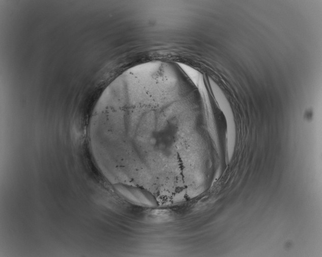 X0000116630324201001081258