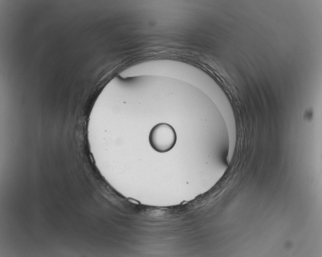 X0000116630325201001081258