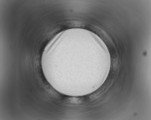 X0000116630326201001081258