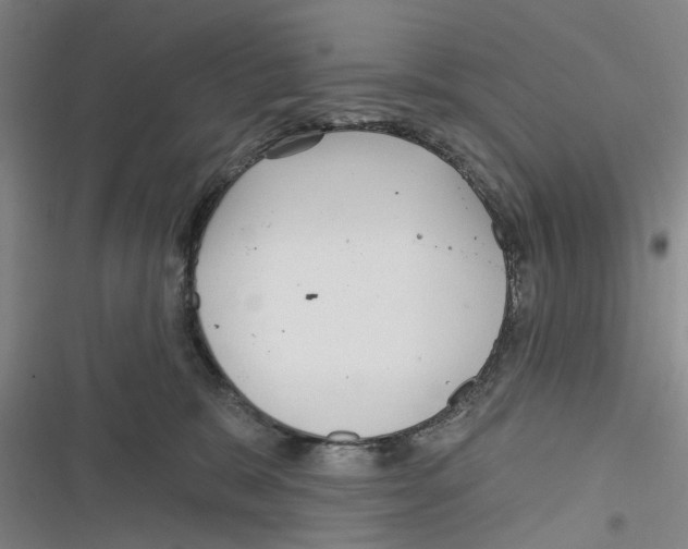 X0000116630327201001081258