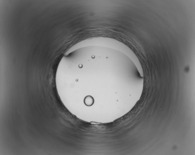 X0000116630328201001081258
