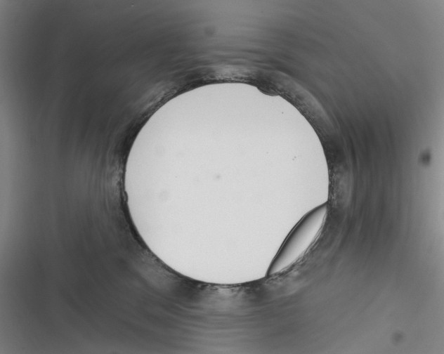 X0000116630329201001081258