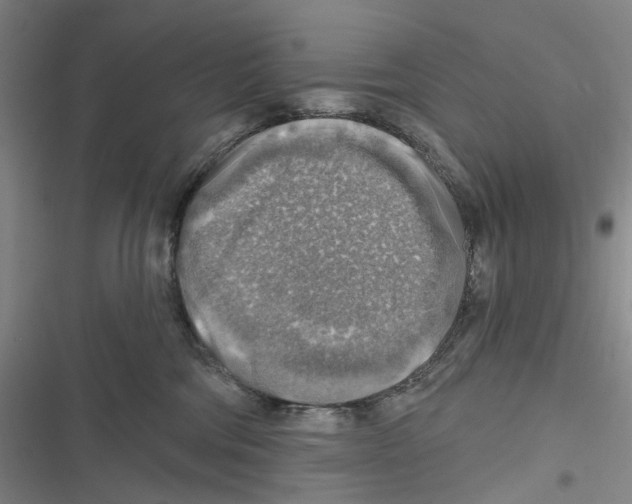 X0000116630330201001081258