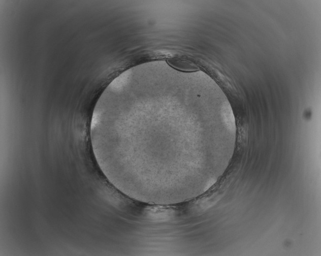 X0000116630331201001081258
