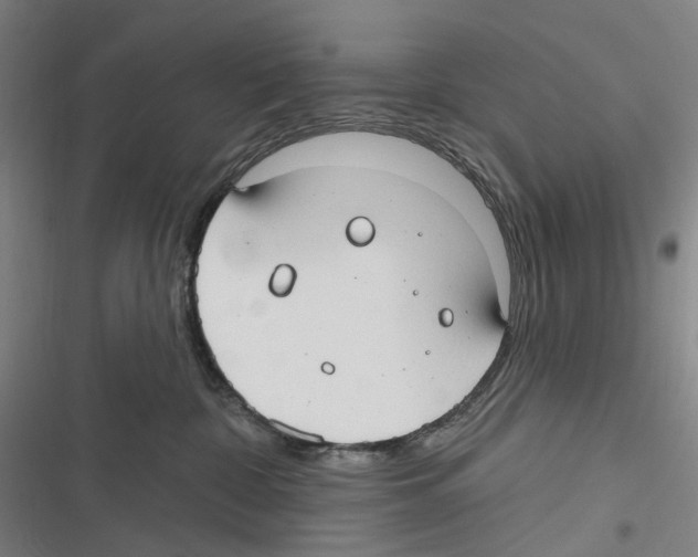 X0000116630332201001081258