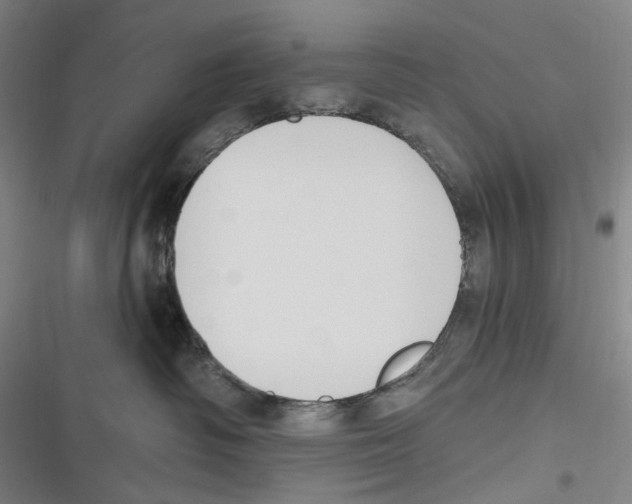X0000116630334201001081258