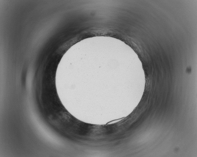 X0000116630335201001081258
