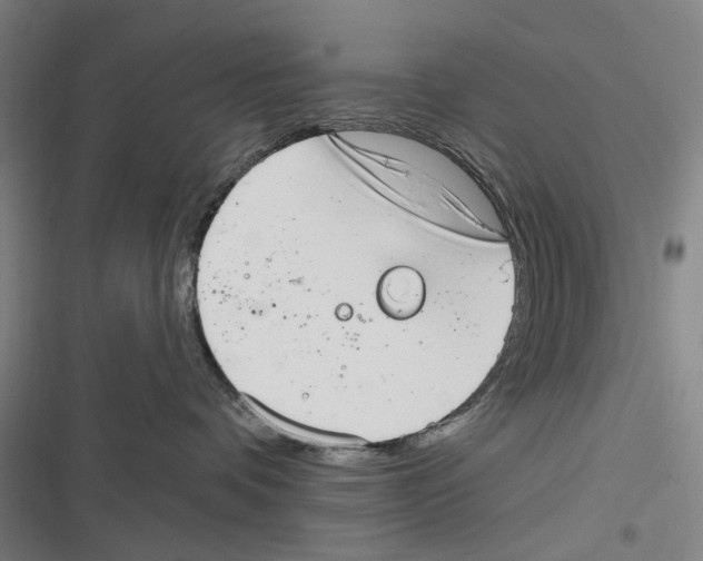 X0000116630336201001081258
