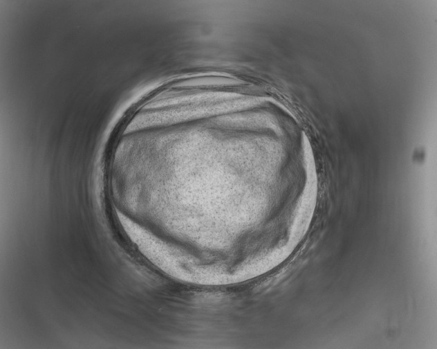X0000116630342201001081257
