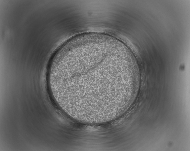 X0000116630346201001081257
