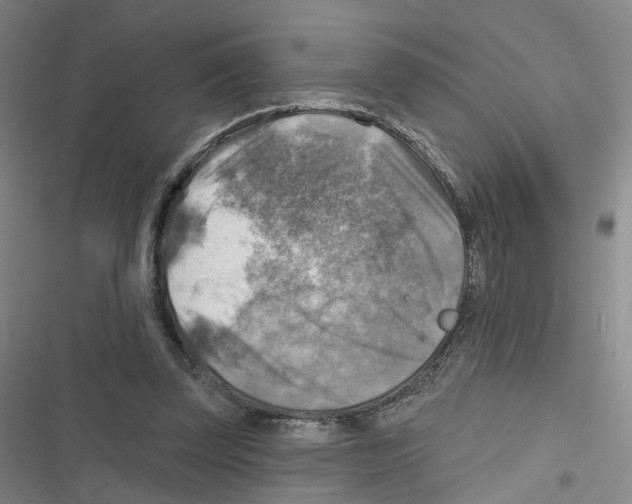 X0000116630347201001081257
