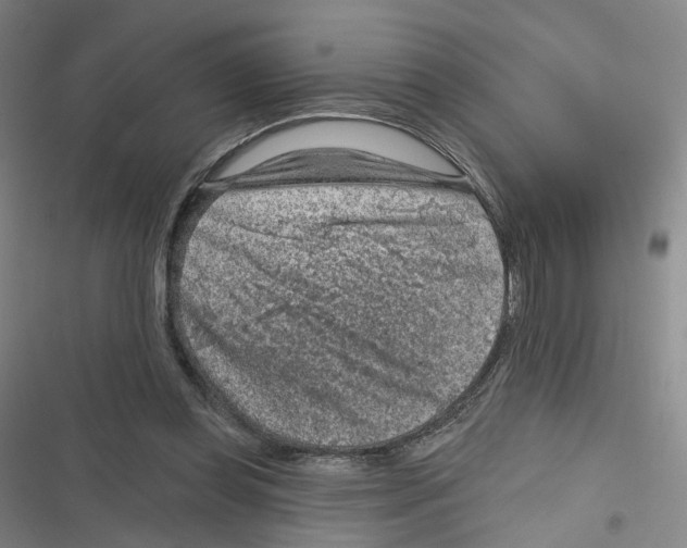 X0000116630349201001081257