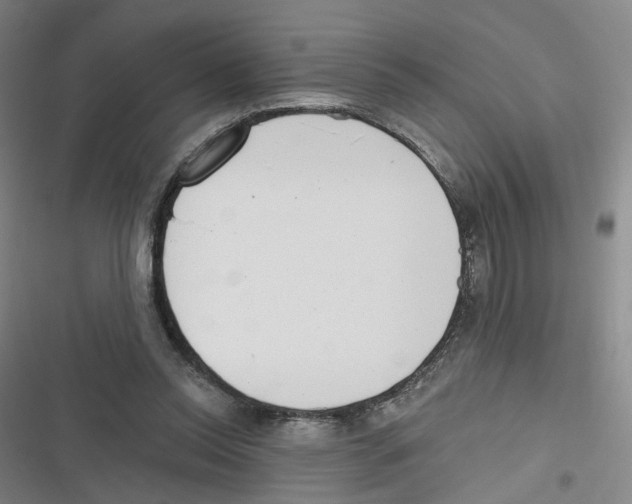 X0000116630350201001081257
