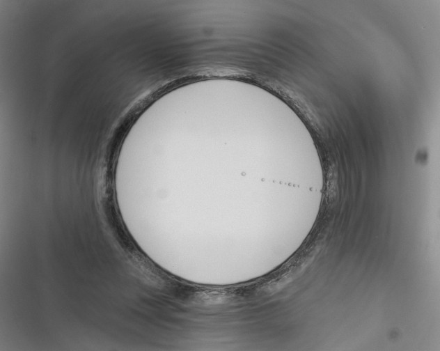 X0000116630351201001081257