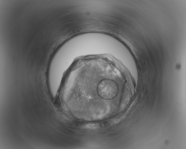 X0000116630353201001081257