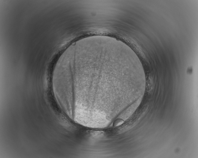 X0000116630355201001081257