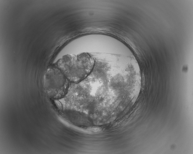 X0000116630357201001081257