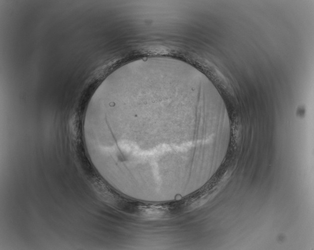 X0000116630359201001081257