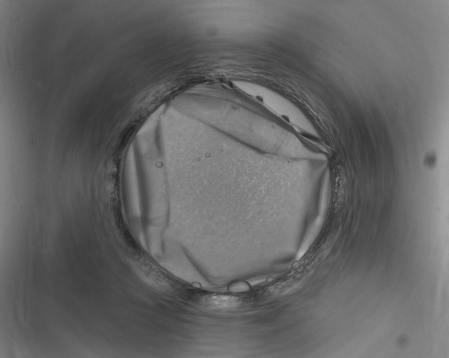 X0000116630361201001081257
