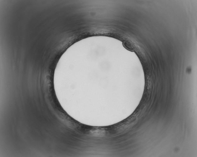 X0000116630362201001081257