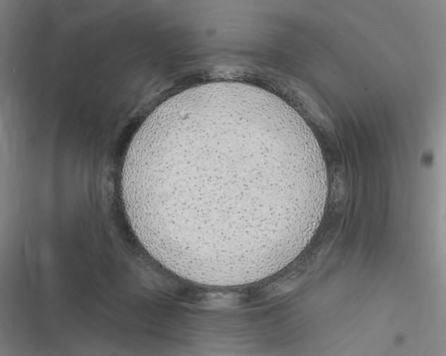 X0000116630363201001081257