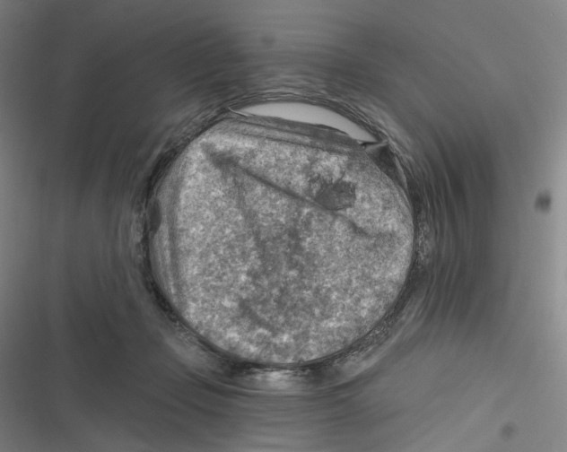 X0000116630365201001081257