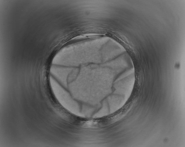 X0000116630366201001081257