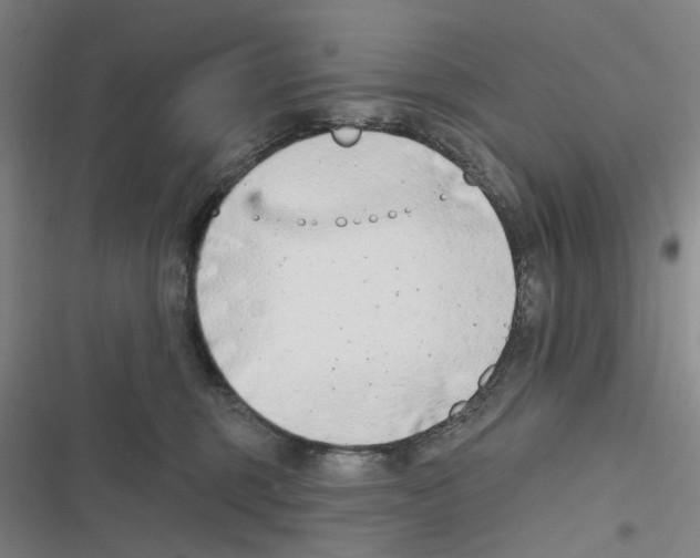 X0000116630375201001081257