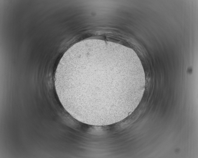 X0000116630381201001081258