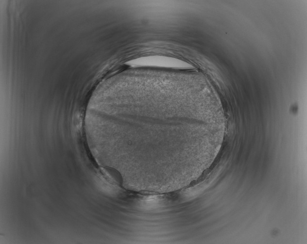 X0000116630382201001081258