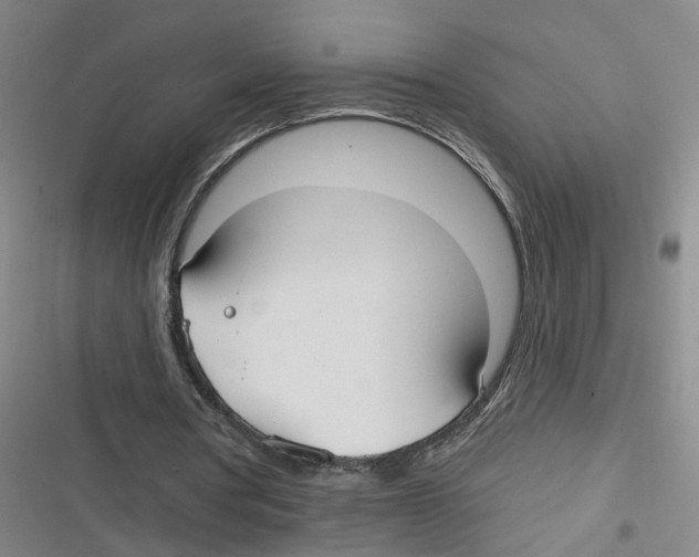 X0000116630386201001081257