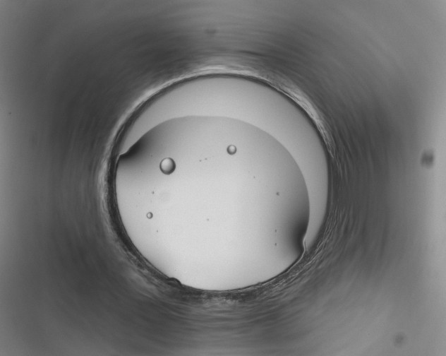 X0000116630387201001081257
