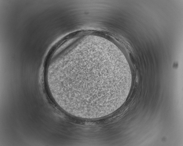 X0000116630388201001081257