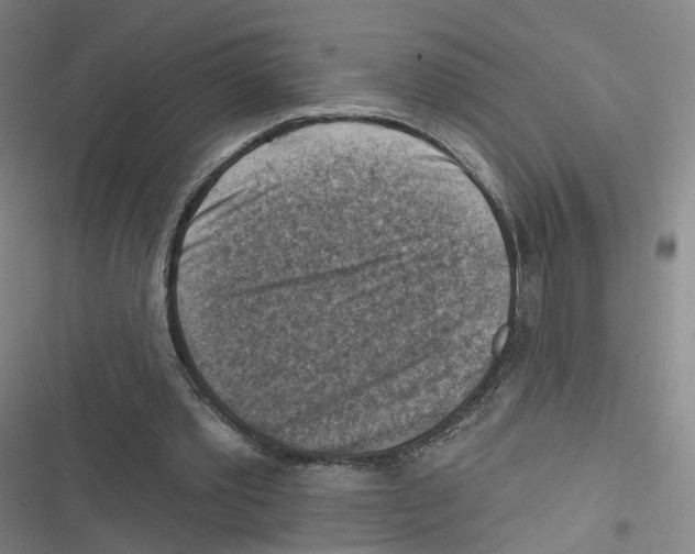 X0000116630389201001081257