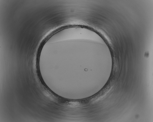 X0000116630391201001081257