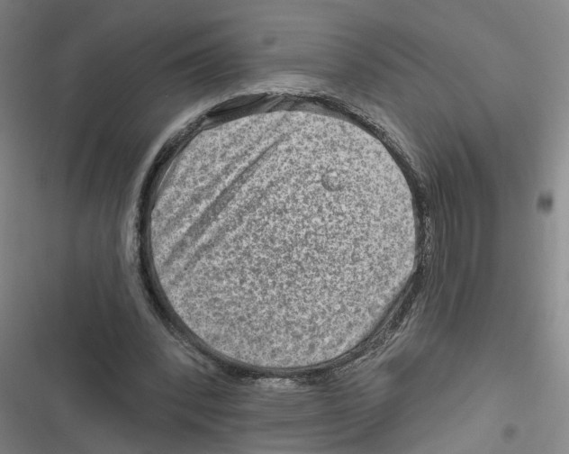 X0000116630392201001081257