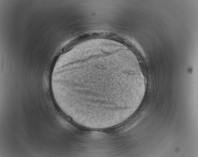X0000116630393201001081257