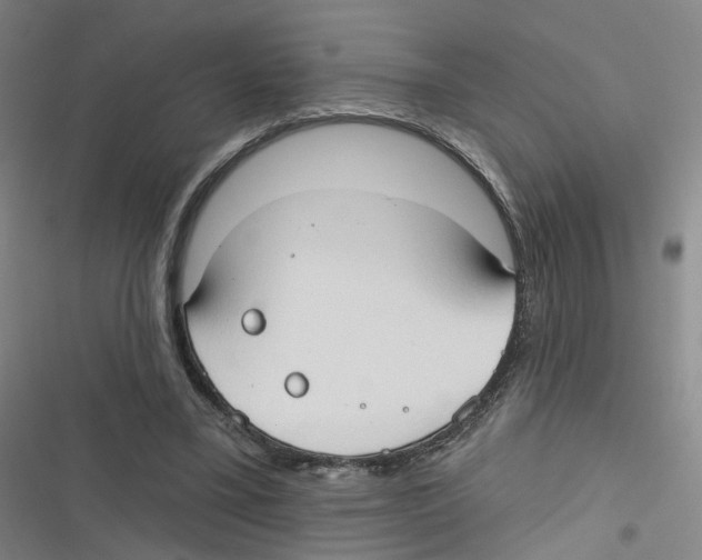 X0000116630395201001081257