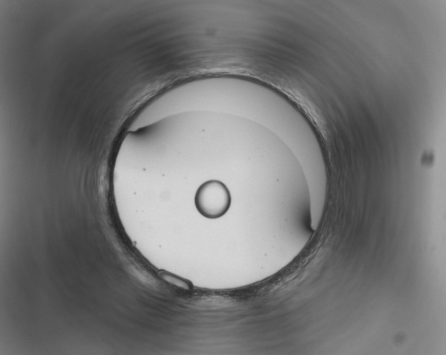 X0000116630397201001081257