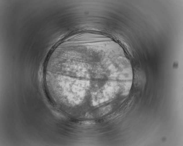X0000116630398201001081257